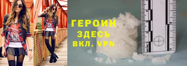 индика Весьегонск