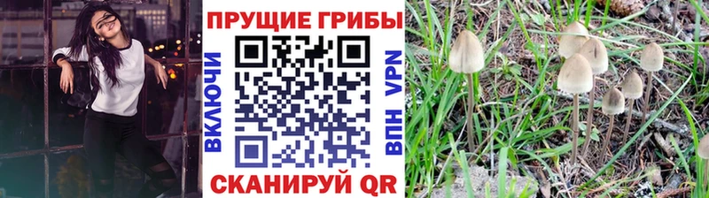 нарко площадка клад купить наркотики цена Малмыж Псилоцибиновые грибы прущие грибы